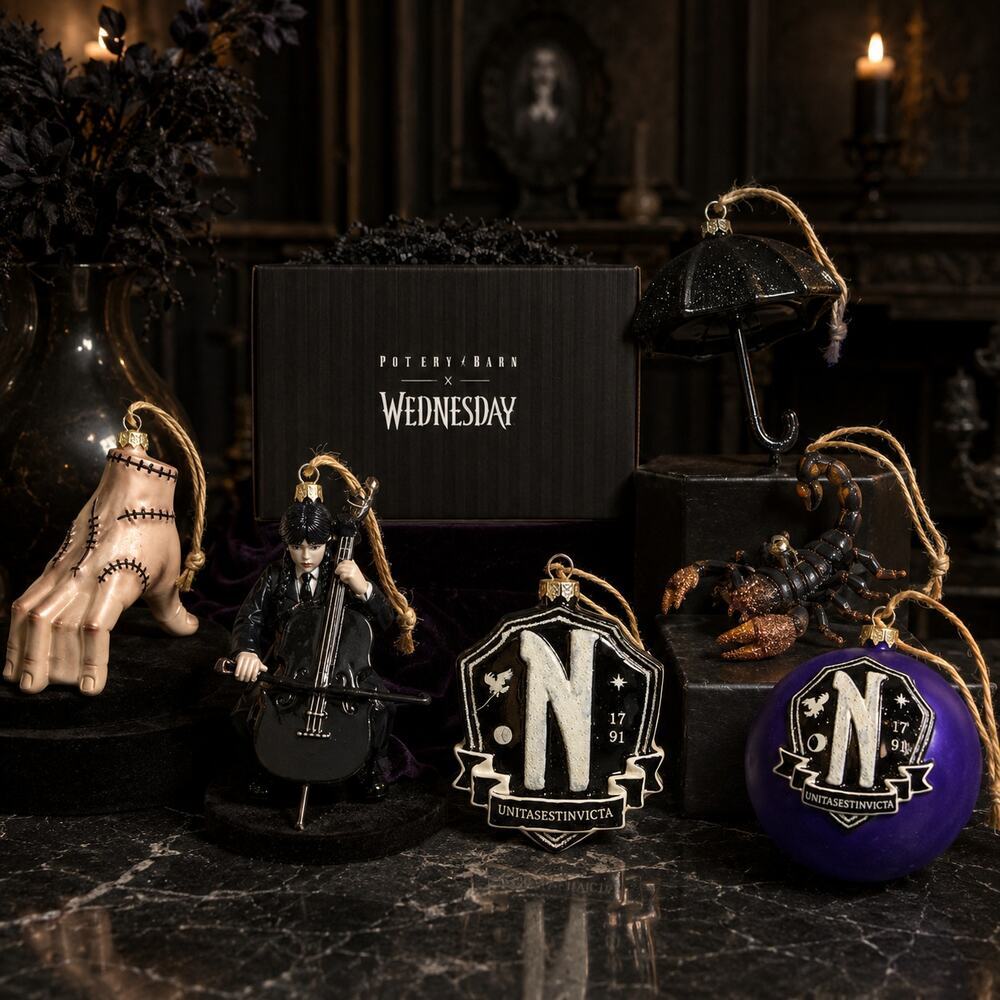 NEW Pottery Barn x Wednesday Addams Set of 6 Christmas Halloween Ornaments NIB